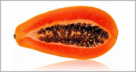 Papaya