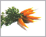 Carrots